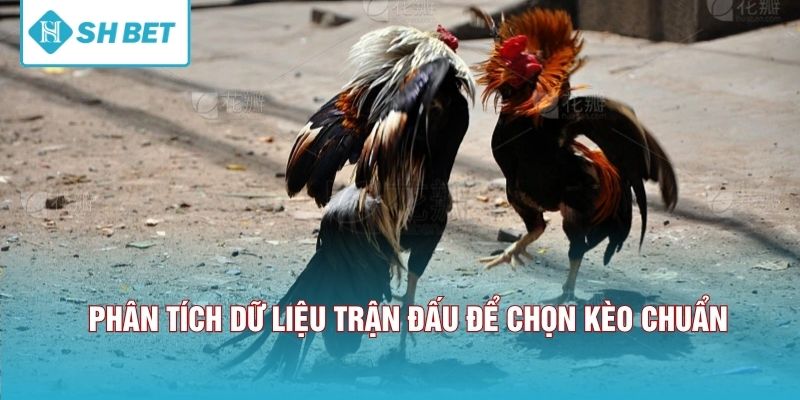Phân tích dữ liệu trận đấu để chọn kèo chuẩn. 
