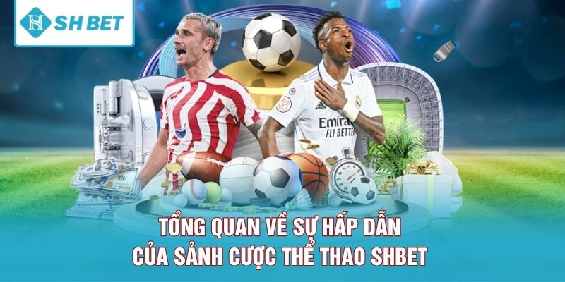 Tổng quan về sự hấp dẫn của sảnh cược thể thao SHBET 