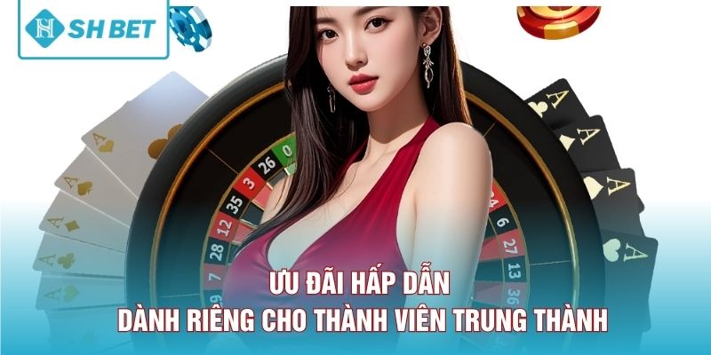 Ưu đãi hấp dẫn dành riêng cho thành viên trung thành. 